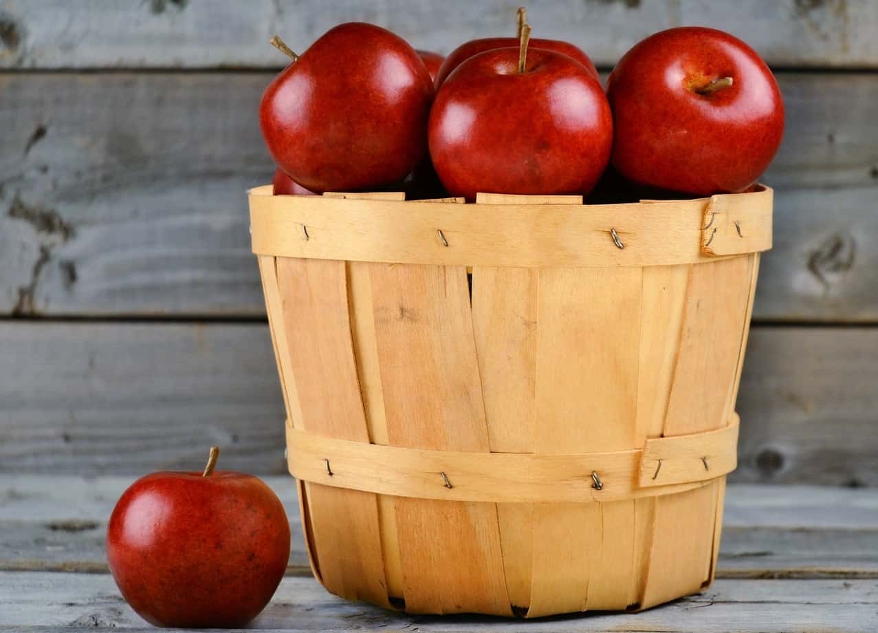 apples-basket-harvest