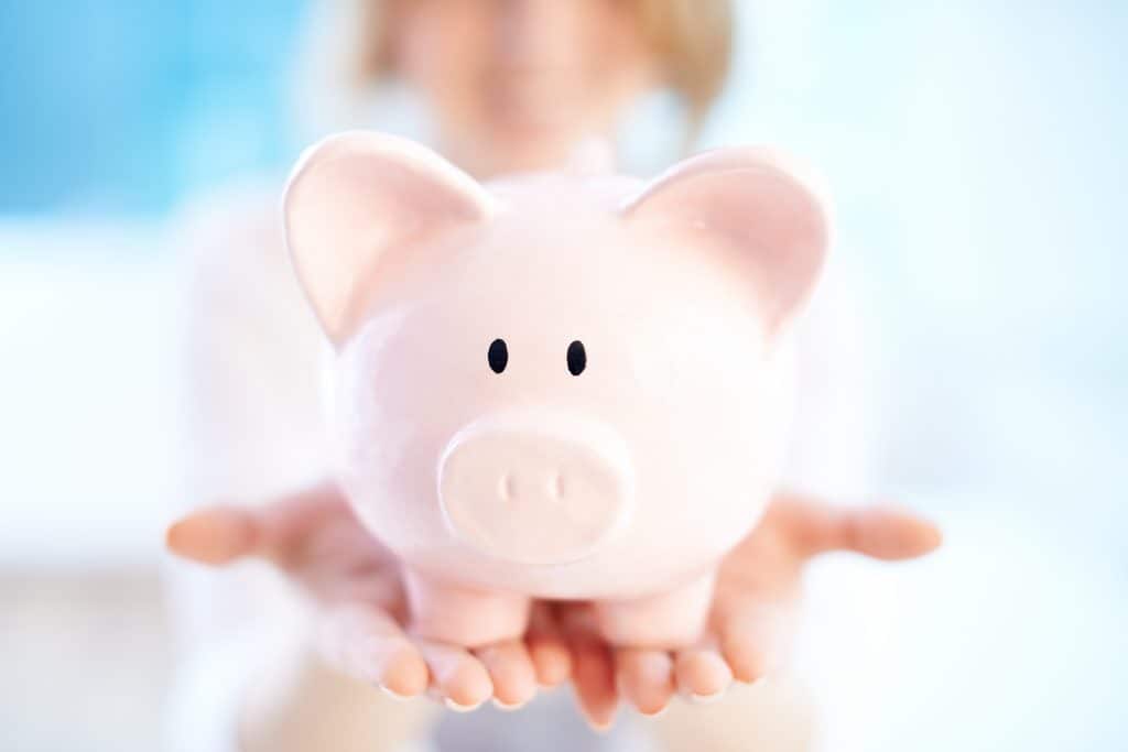 pig money bank save money