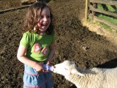 Cheap family vacation idea: Stay on a farm