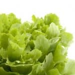 Grow lettuce and save money on salad