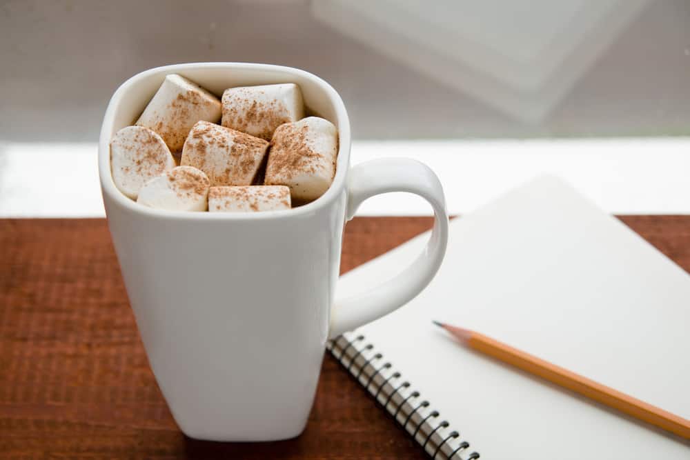 Blank diary and pencil next to cup of cocoa and marshmallows.