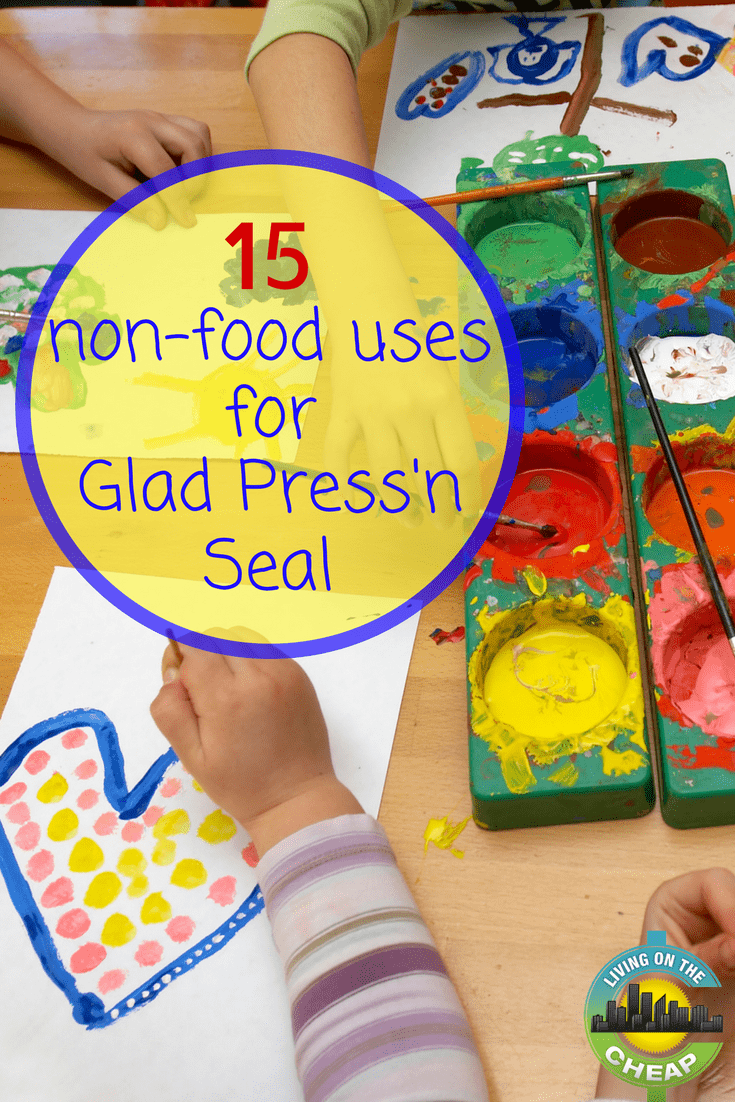 When Glad Press’n Seal first appeared on the market, I saw it as an expensive version of plastic wrap and couldn’t see how it would be worth the extra money. After seeing it in action at a friend’s house and finally purchasing my own box, it’s definitely something I plan to keep in stock.