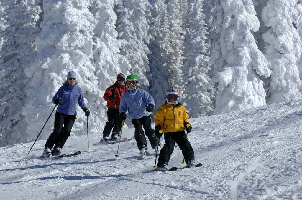 A family of four skis with snow-covered pine trees in background.