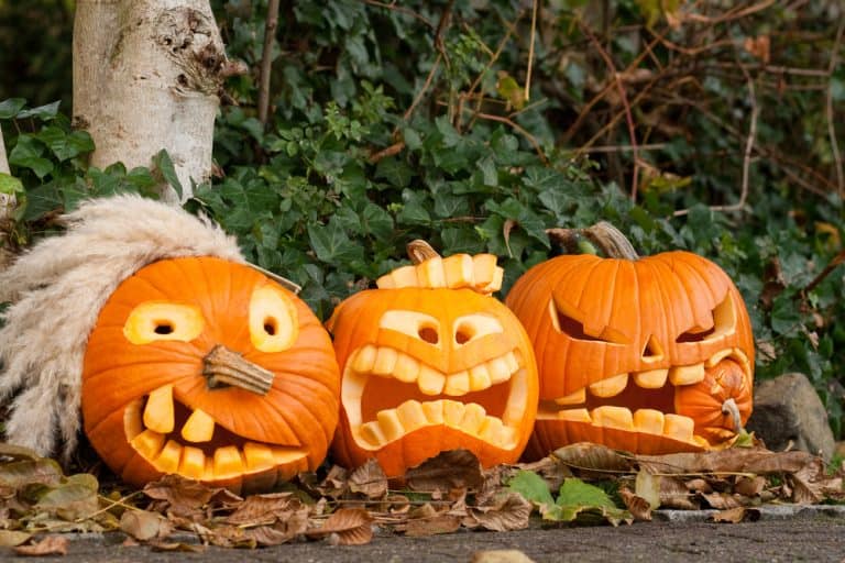 Free pumpkin stencils for creative Halloween carving - Living On The Cheap