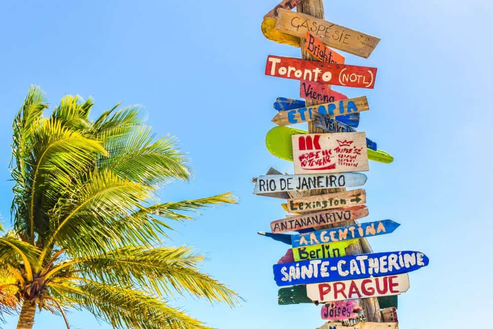 Wooden signposts on a pole with names of international cities on them, against a blue sky with a palm tree in the background