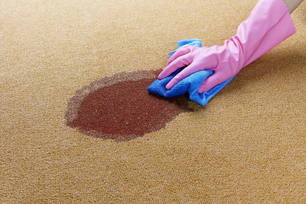 iStock_000020579395-removing carpet stain