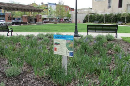 Rain Garden next to Central Park Plaza and Indiana Ave at Lafayette St in Valparaiso, Indiana photo by Chris Light (CC5)