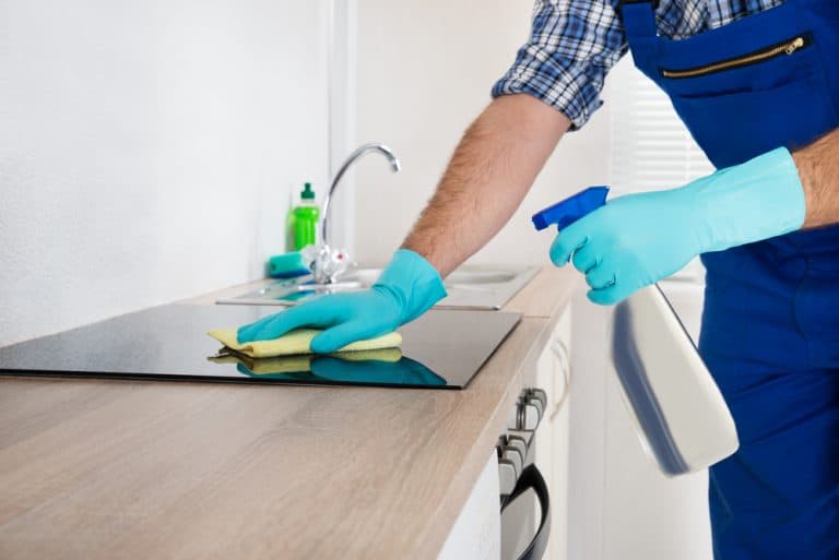 9 cheap house cleaning tips that actually work Living On The Cheap