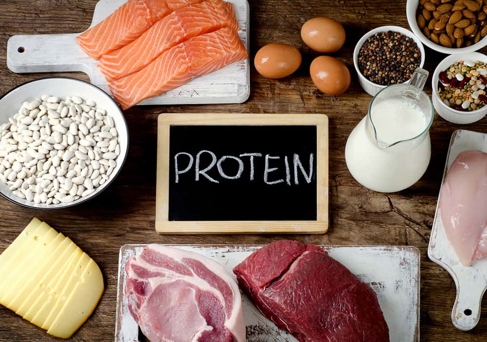 Meat, eggs and beans surrounding a black slate reading "Protein."