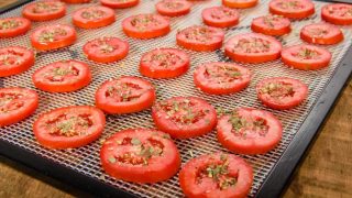 sliced tomatoes on drying trays