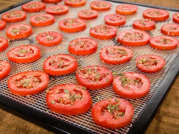 sliced tomatoes on drying trays