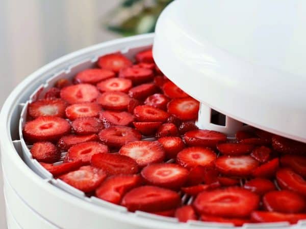 Sliced strawberries in the food dehydrator