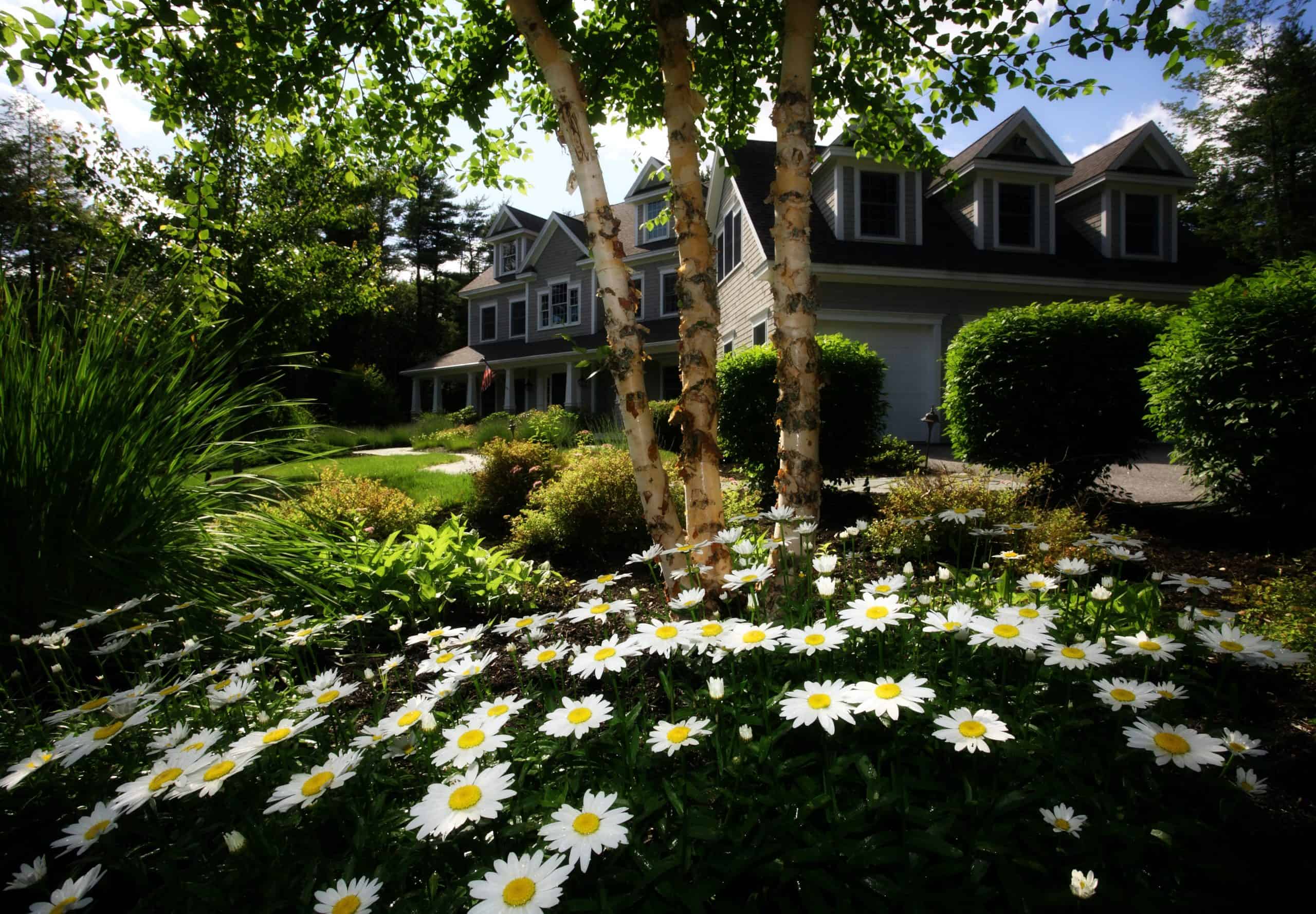 how-to-do-your-own-landscaping-diy-landscape-design-to-save-money