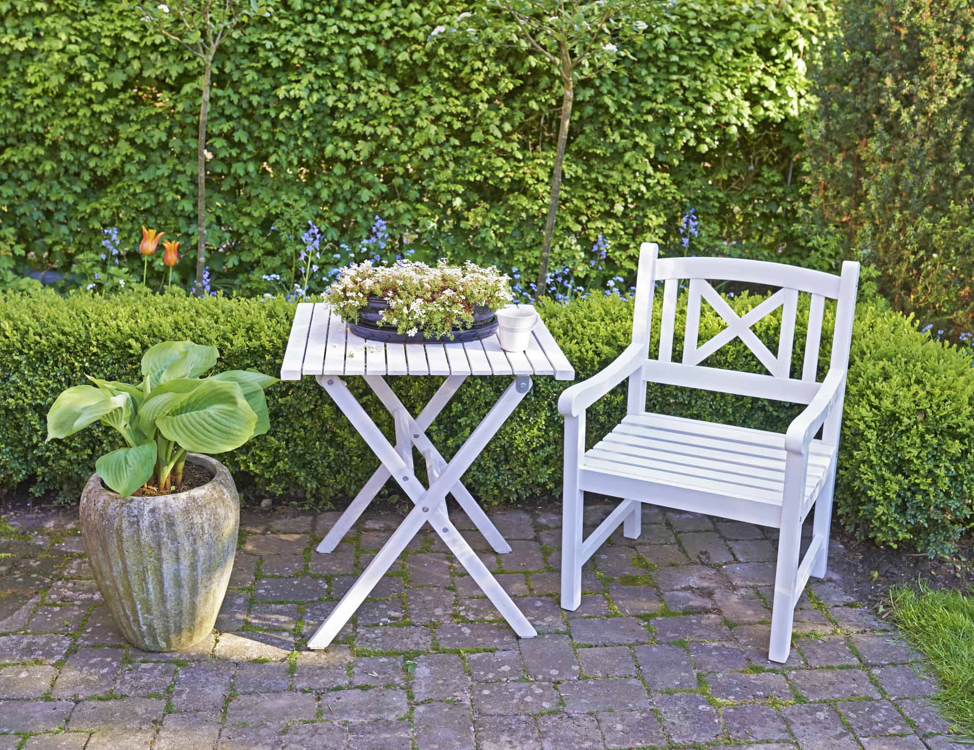 A white table and chair in a small courtyard surrounded by greenery on a wall.