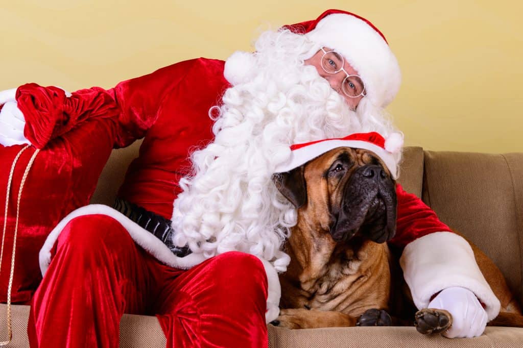 Free pet photos with Santa at PetSmart Living On The Cheap