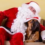 Where to get free photo with Santa Claus and your pet