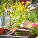 A straw hat, tin watering can and gardening tools on steps in a garden surrounded by flowers.