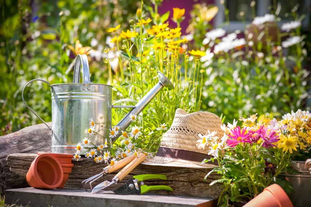 A straw hat, tin watering can and gardening tools on steps in a garden surrounded by flowers.