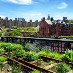 Best free things to do in New York City