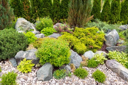 A no-lawn garden with rocks and native plants.